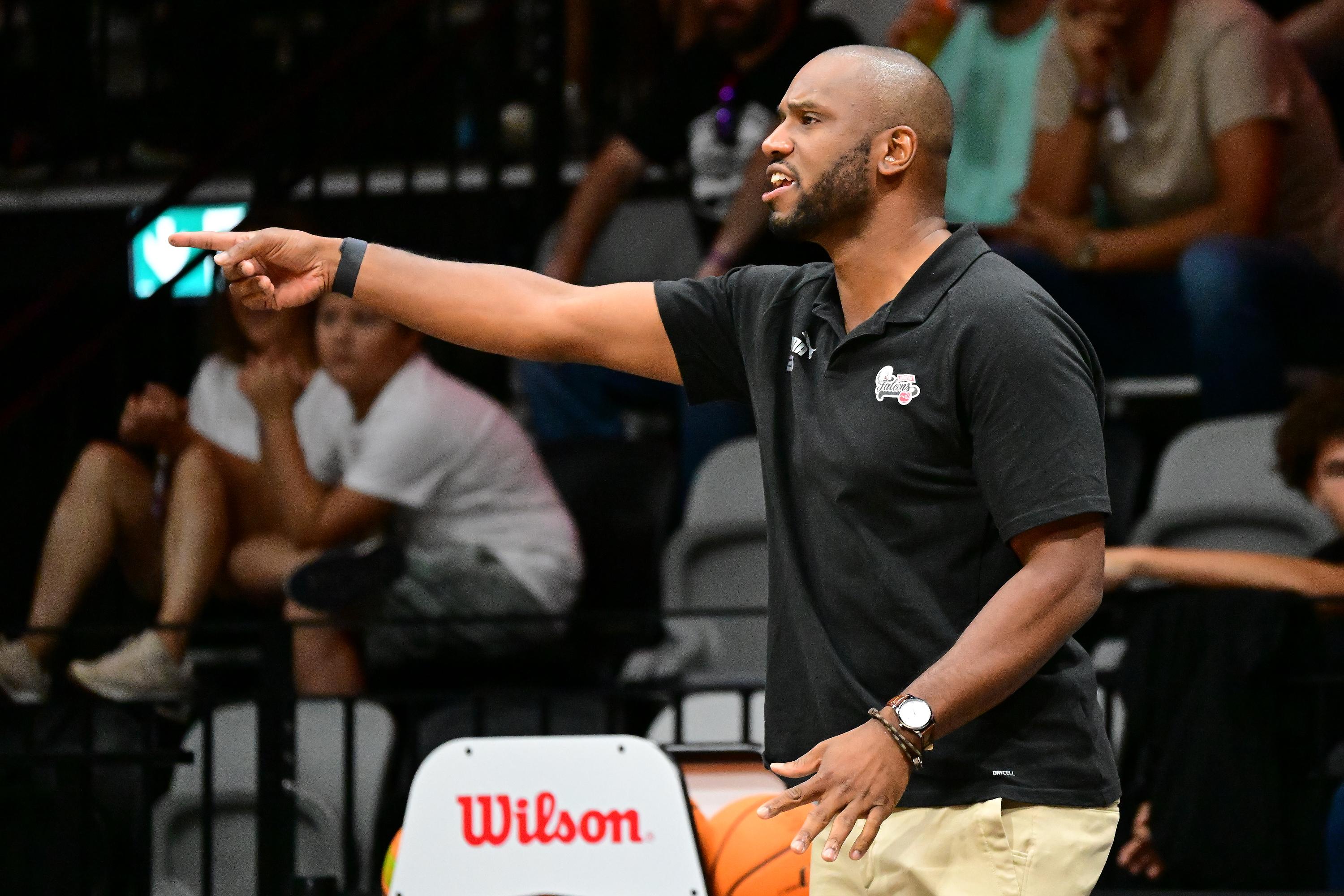 Nürnberg Falcons - Crailsheim Merlins