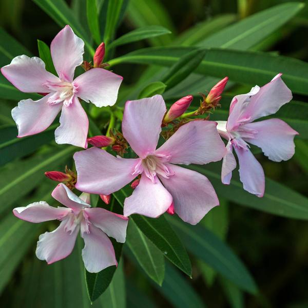 weitere interessante Themen: