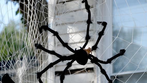 Gruselige Kürbisgesichter und Spinnennetze: Das sind die besten DIY-Halloween-Dekoideen