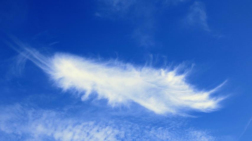 Wie eine Feder schwebt die Wolke am Himmel. Mehr Leserfotos finden Sie hier