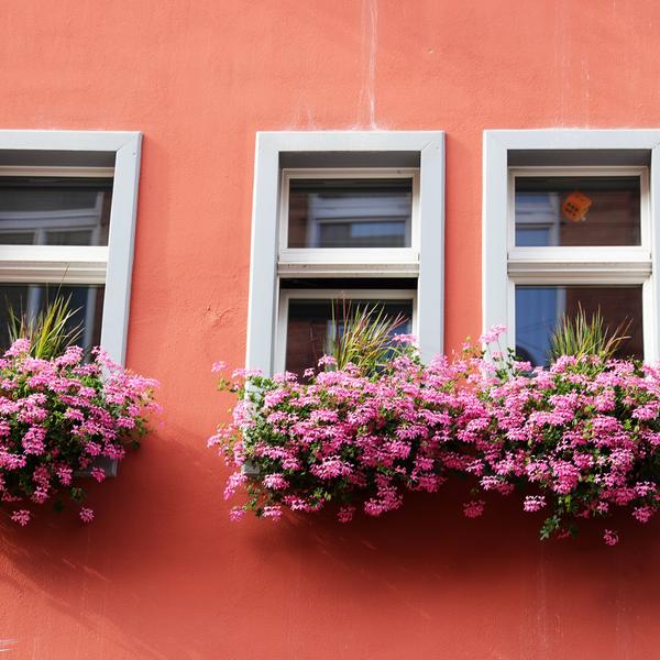 weitere interessante Themen: