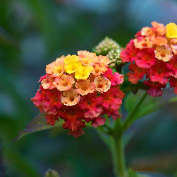 weitere interessante Themen: