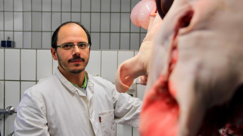 Timo Baumann ist amtlich bestellter Fleischbeschau-Tierarzt. Er besucht die Metzgereien und kontrolliert dort die lebenden Schlachttiere.   Die ganze Geschichte auf nn.de 