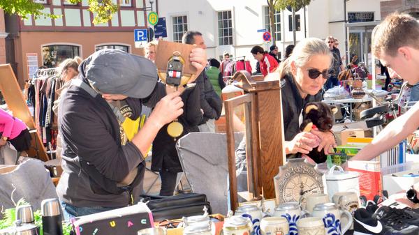 Super Wetter, rekordverdächtige Besuchermassen: Eindrücke von "Schwabach trempelt" 2023.