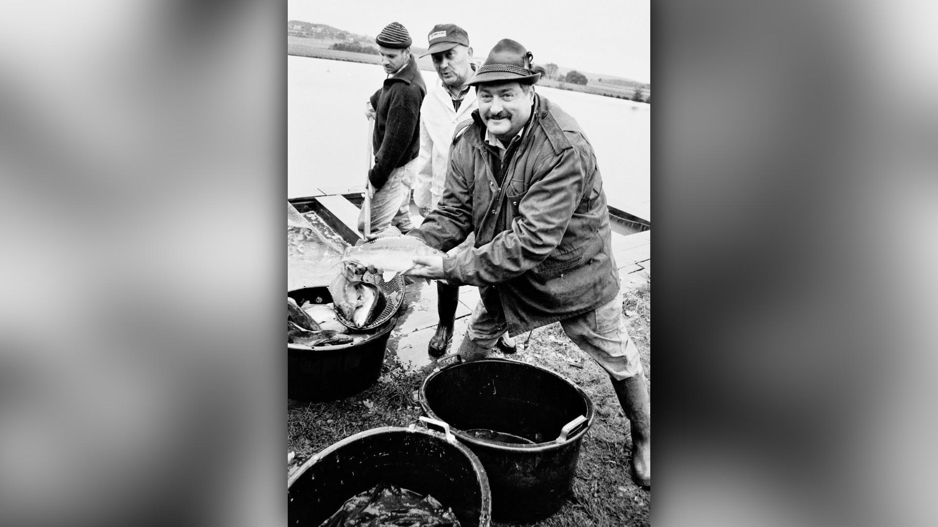 Mit Stolz präsentieren die Mitglieder der Haundorfer Weihergenossenschaft ihre besten Fänge. Mit einem gegenüber dem Vorjahr unwesentlich geringeren Fischernteertrag verläuft das traditionelle Abfischen des großen Haundorfer Weihers im Jahr 1998. Rund 130 Zentner fränkischer Karpfen werden schließlich an Land gezogen. Doch trotzdem sind nicht alle glücklich. Nicht gut zu sprechen ist der Vorsitzende der Weihergenossenschaft Haundorf, Hermann Hübner, auf den Kormoran. Der große schwarze Vogel, der sich von Fischen ernährt, ist auch den anderen 27 Mitgliedern der Weihergenossenschaft mit insgesamt 35 Anteilen ein Dorn im Auge.