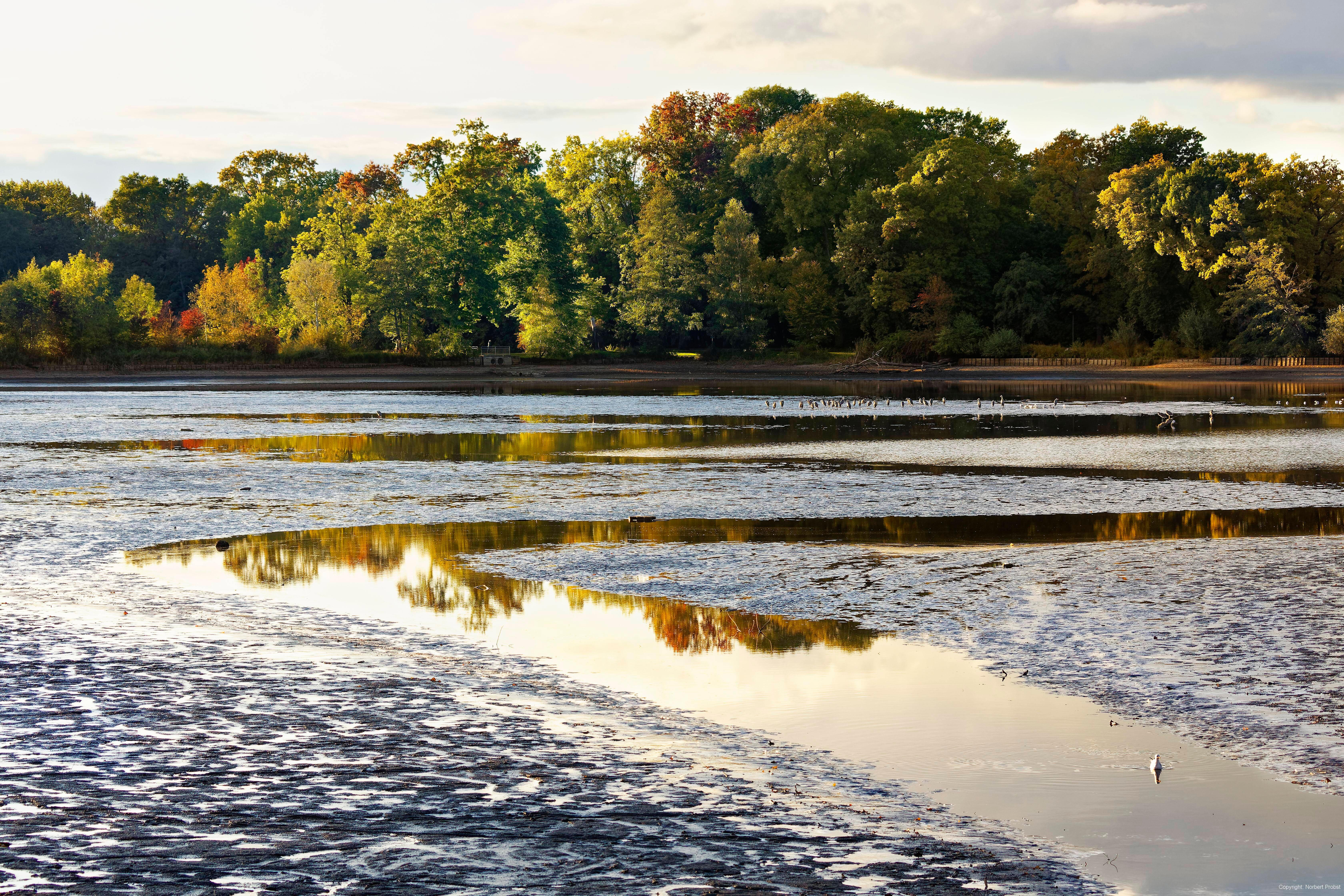 imago images 141115214