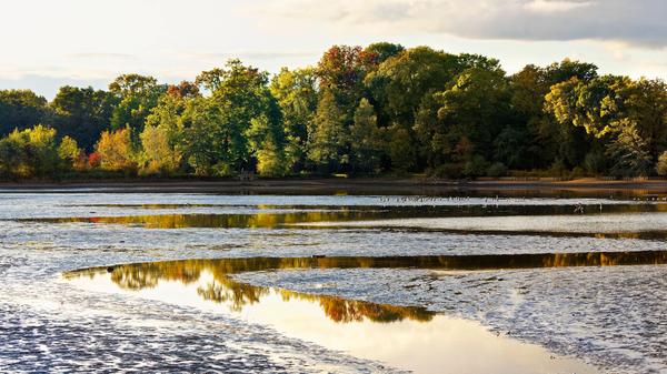 imago images 141115214