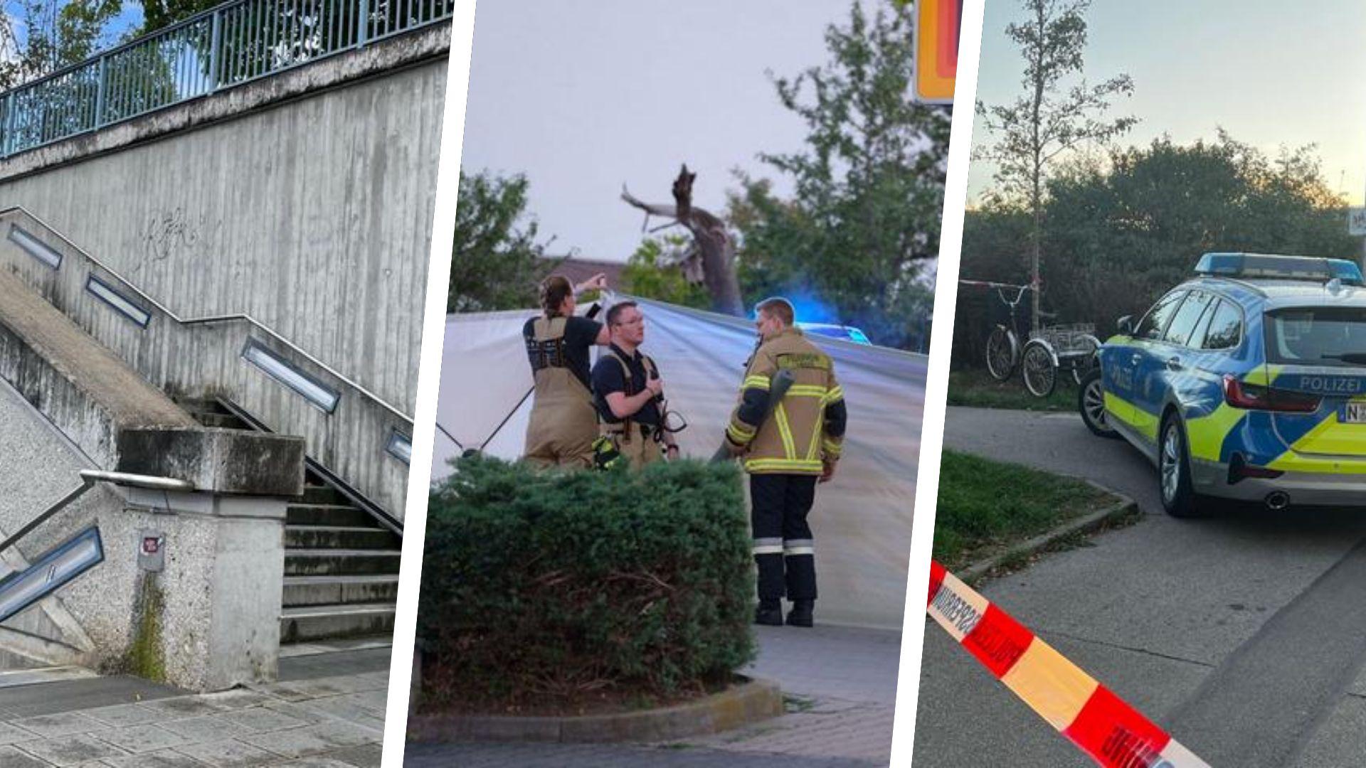 2023-9-1_collage (5).jpg