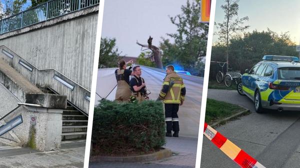 2023-9-1_collage (5).jpg