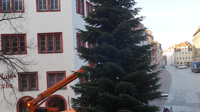 Im vergangenen Jahr wurde vom dem Stadthaus ein großer Weihnachtsbaum aufgestellt. 