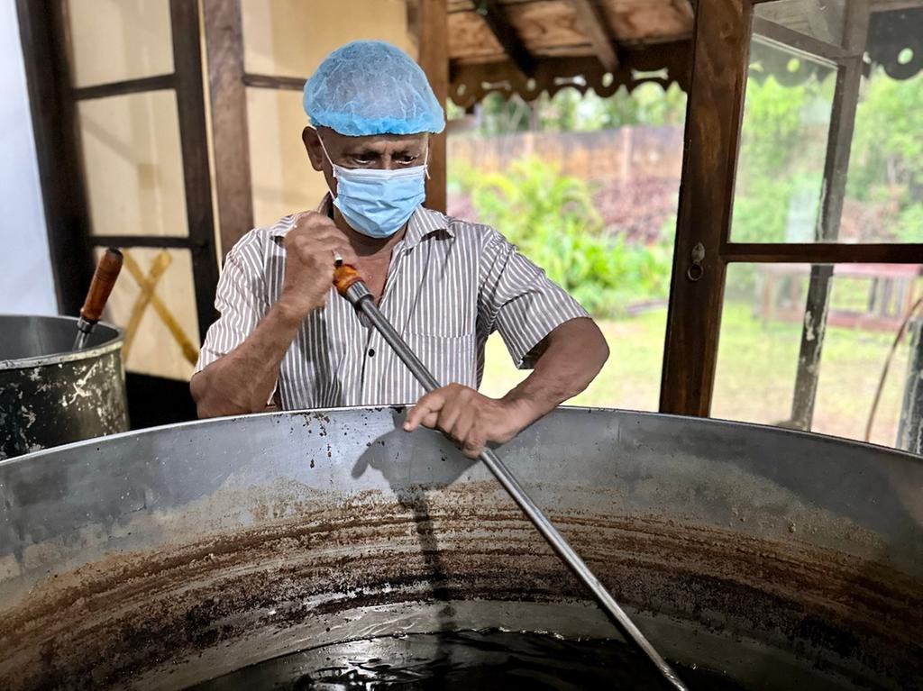 Hier wird eines der Öle für die Gäste der vier Barberyn Ayurveda Resorts hergestellt. Die Grundlage ist meistens Sesamöl. Bis es fertig ist, müssen die Öle etwa einen Monat in den Töpfen verbringen.