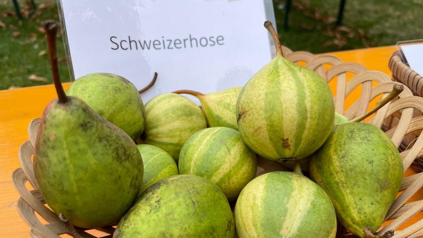 Eine Rarität ist die "Schweizerhose". Die Birnen fallen durch ihre gestreifte Schale ins Auge, im Supermarkt findet man sie aber so gut wie nie. Selbst Experten bezeichnen den Geschmack als "mäßig" - dafür sieht die Frucht toll aus.