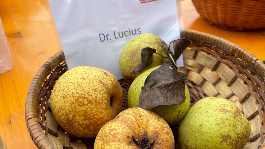 Sehr robust und anspruchslos sind die Birnenbäume der Sorte Dr. Lucius, die auch Minister Lucius genannt werden. Namensgeber war ein preußischer Minister. Die Früchte sind groß, rundlich eiförmig , sehr saftig, aber auch etwas säuerlich.