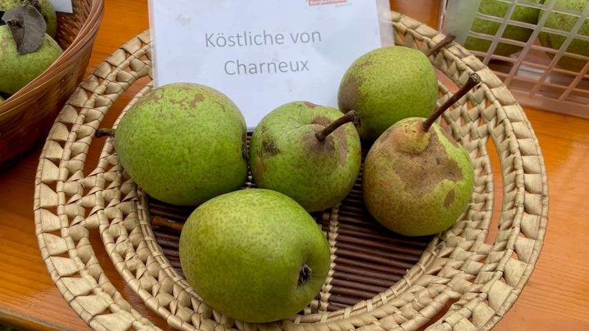Eine leckere Birne mit süßem Namen gefällig? Die "Köstliche von Charneux" ist süß und saftig. Die großen Birnen, die ursprünglich aus Belgien stammen, sind meist groß und sonnengelb. 