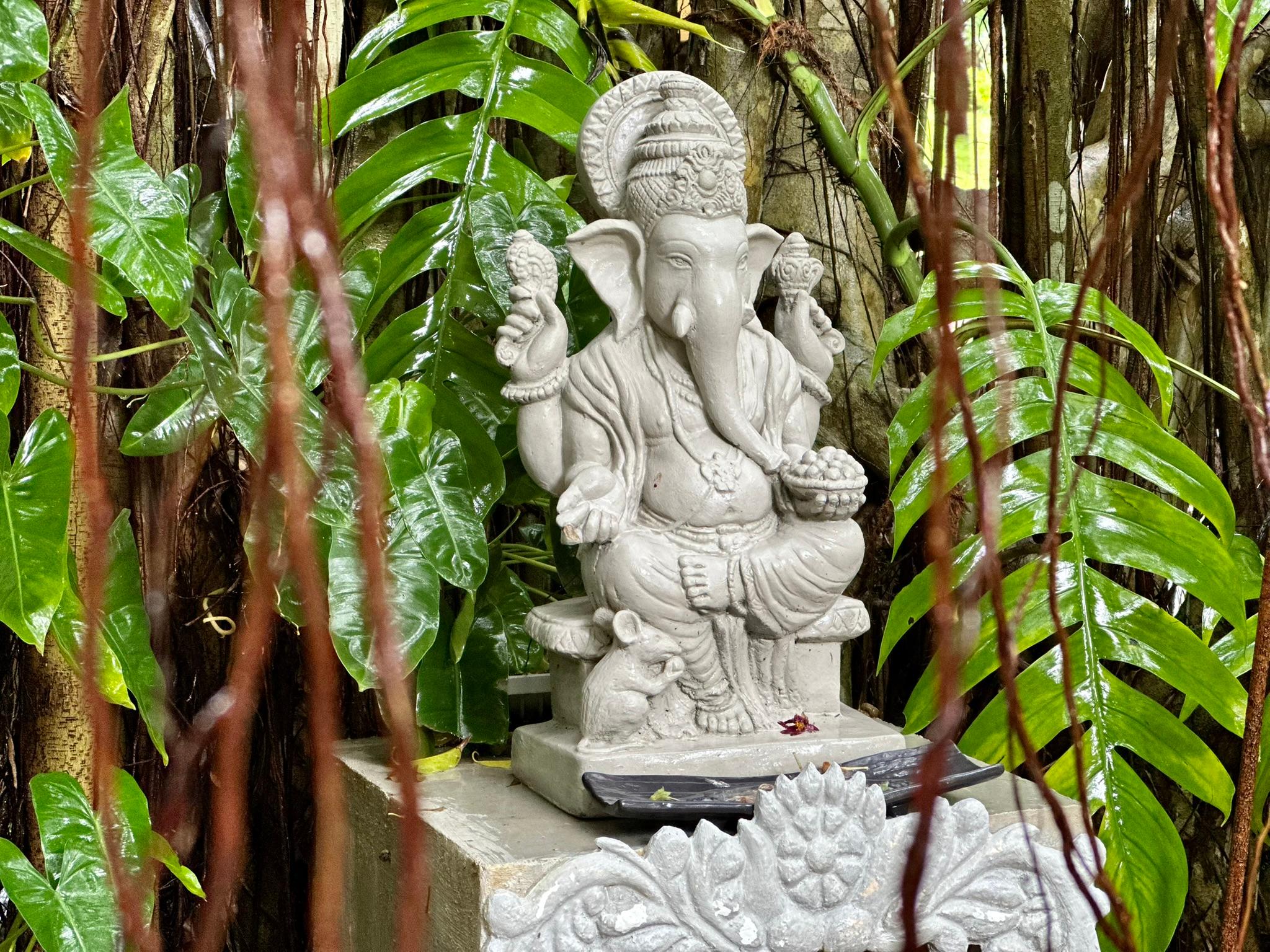 Ein Großteil der Bevölkerung auf Sri Lanka ist buddhistischen Glaubens.