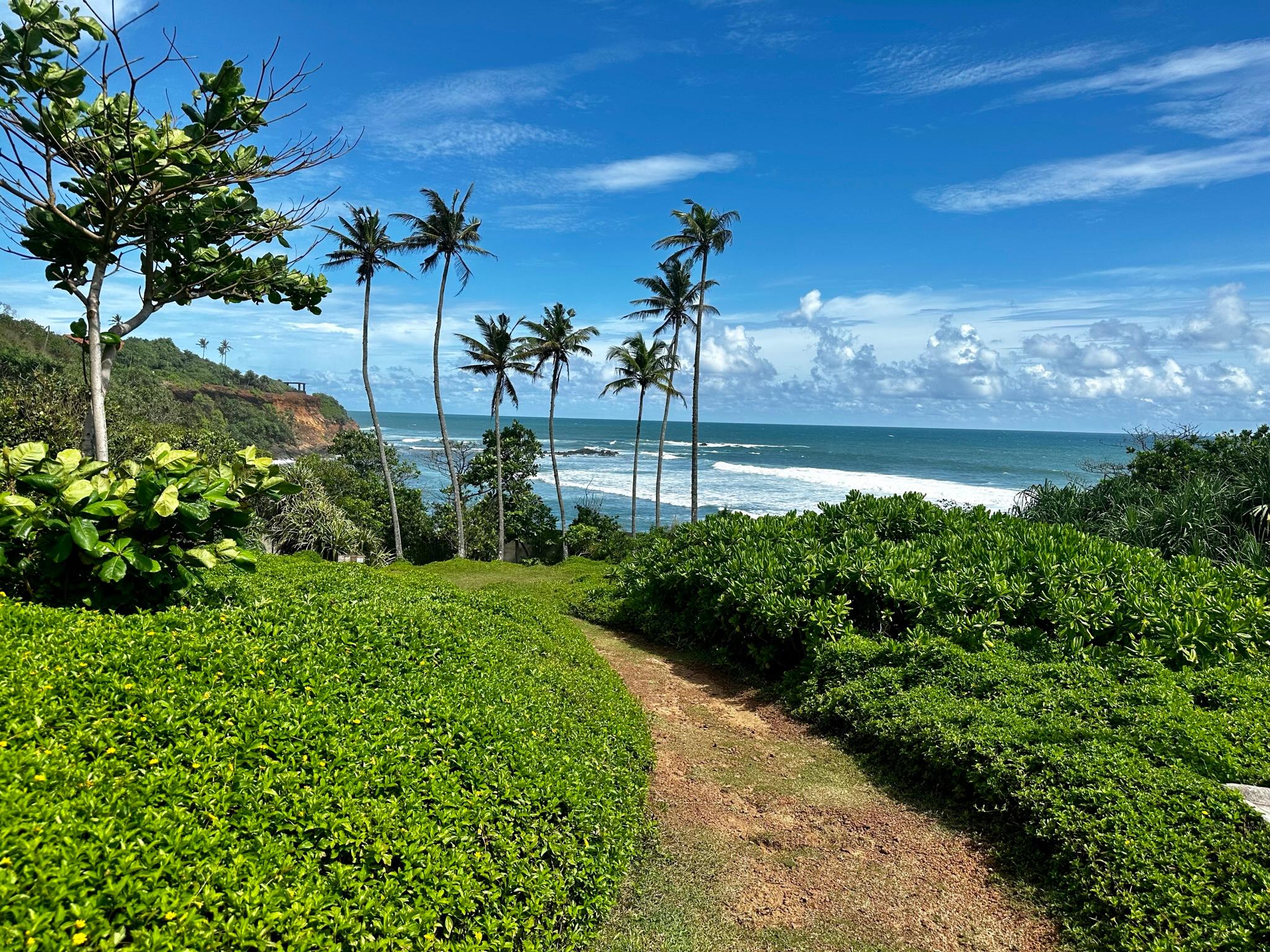 Das Resort liegt direkt am Strand. Entsprechend gut ist der Ausblick auf den Pazifik vom Gelände aus.