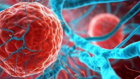 Endothelzellen bilden die Tumorblutgefäße (blau). Sie versorgen den Tumor (rot) und ermöglichen es den Tumorzellen, sich im Körper zu verbreiten. Über diese Aufgaben sind Endothelzellen direkt in den Tumor eingebunden und können als "Augenzeugen" über die Bedingungen im Tumor berichten. 
