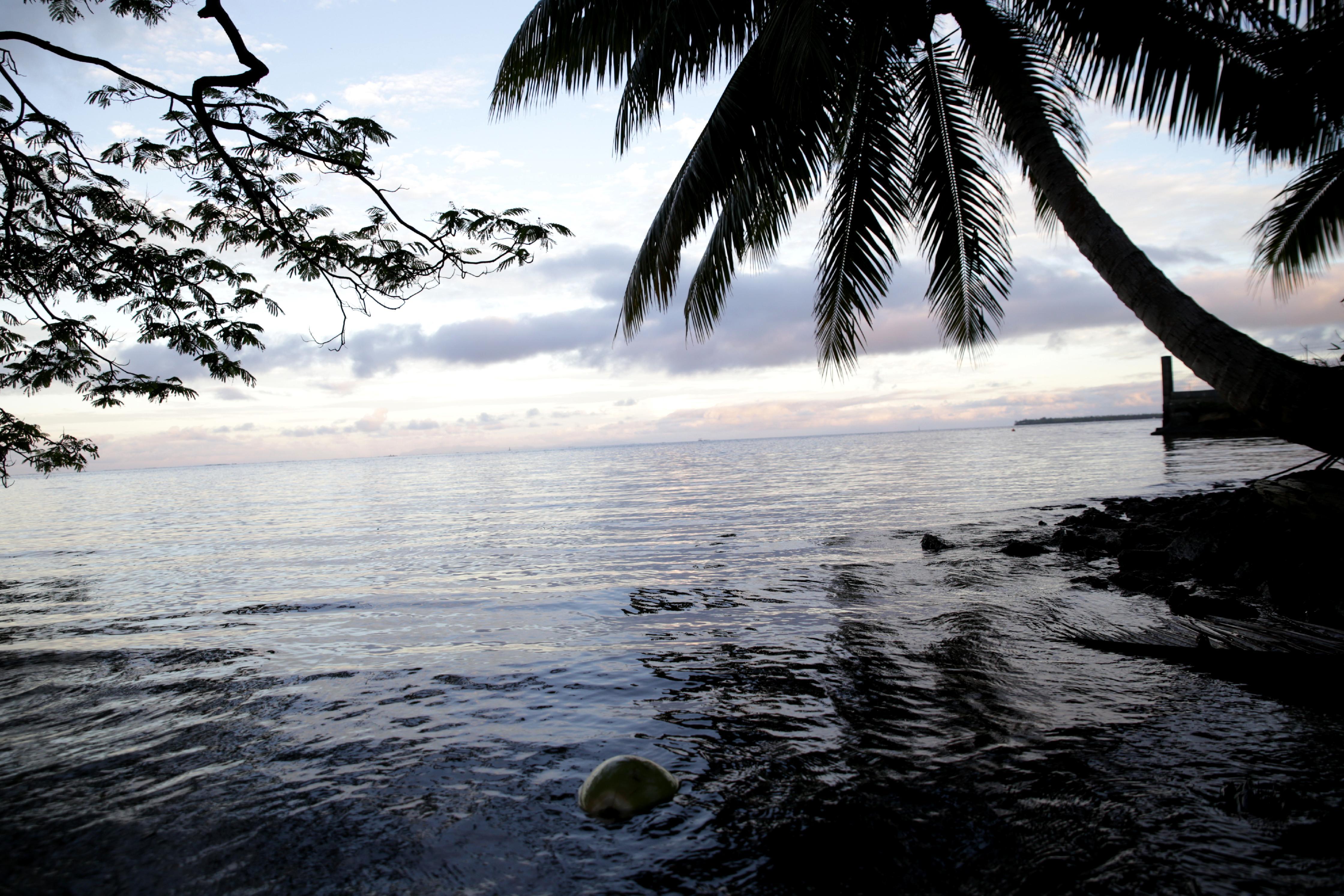 Die Inseln Französisch Polynesiens sind voller Kokosnusspalmen. Praktisch: Spaziergänger haben, wenn sie zufällig eine Machete dabei haben, immer war zu Trinken. Unpraktisch: Fällt die Kokosnuss auf den Kopf, kann das tödlich enden. Die spannende Reisereportage zu dieser Bildergalerie lesen Sie hier auf www.nn.de/2.11550/2.11552/1.13664912.
