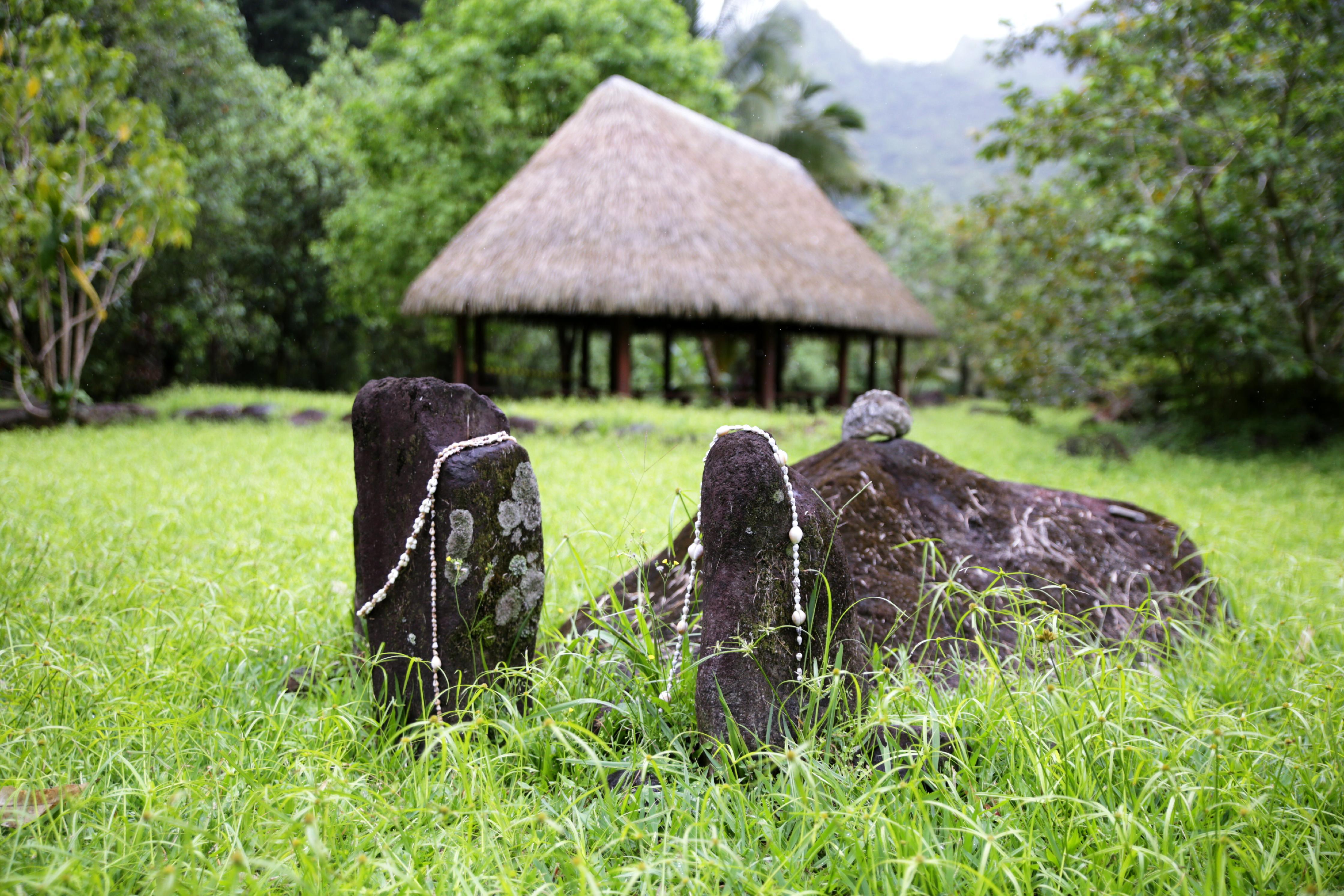 Die Einwohner Tahitis erforschen nach der Kolonialisierung ihre eigene Kultur. Vieles aus den vergangenen Zeiten ist vergessen. Noch gut bekannt ist die heilige Stätte im Papenoo-Tal. Hier errichtet der Verein Maruru ein neues Dorf, um die alten Bräuche wieder aufleben zu lassen. 
