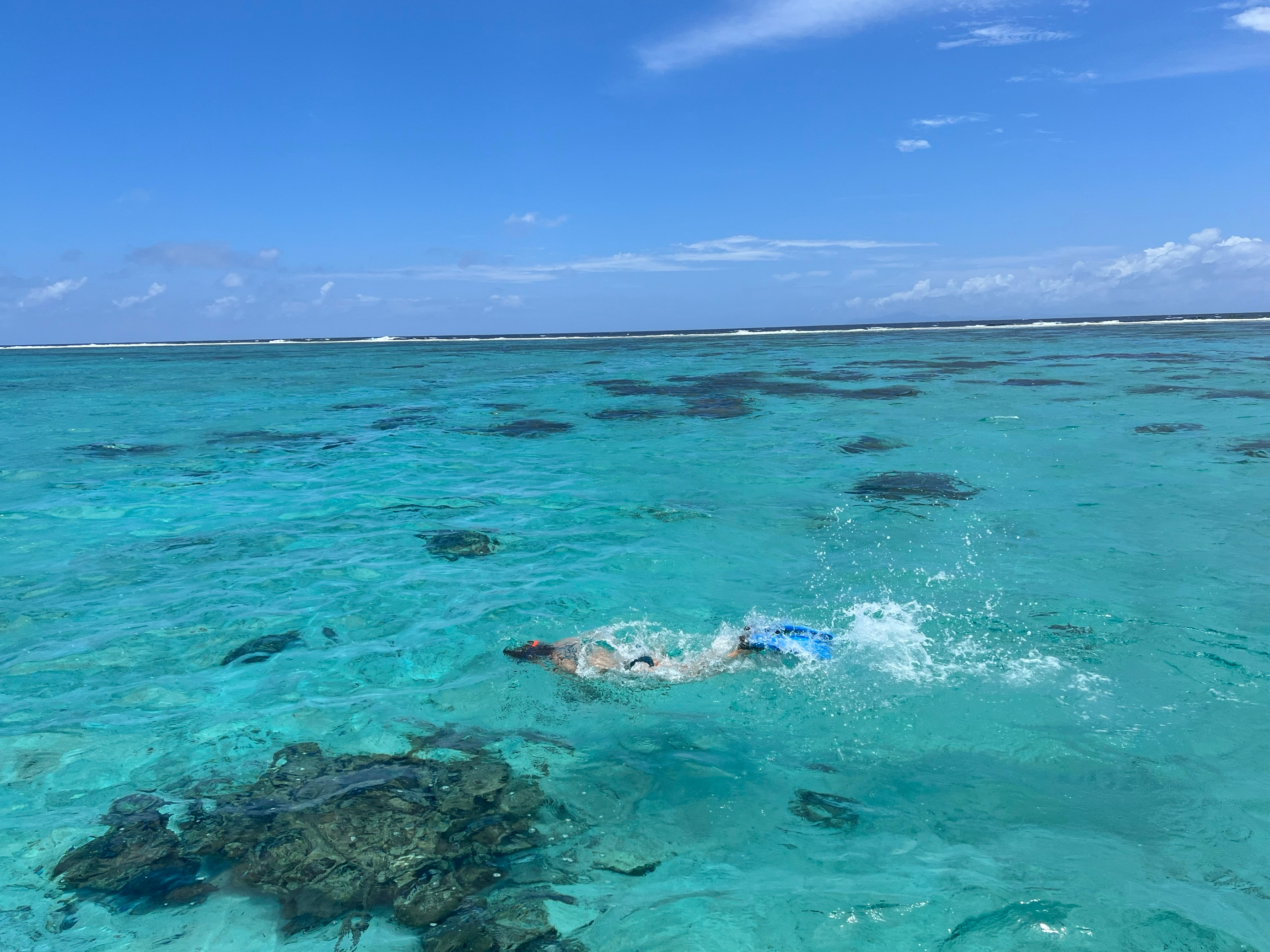 Beim Schnorcheln in den Riffen der Inselgruppen können Besucher nicht nur die farbenfrohen Fische bestaunen, sondern auch Schildkröten und Haie.
