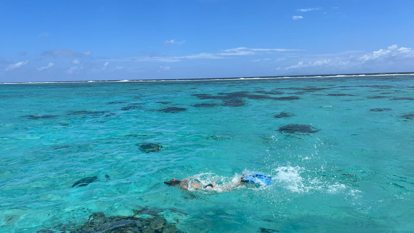 Beim Schnorcheln in den Riffen der Inselgruppen können Besucher nicht nur die farbenfrohen Fische bestaunen, sondern auch Schildkröten und Haie.