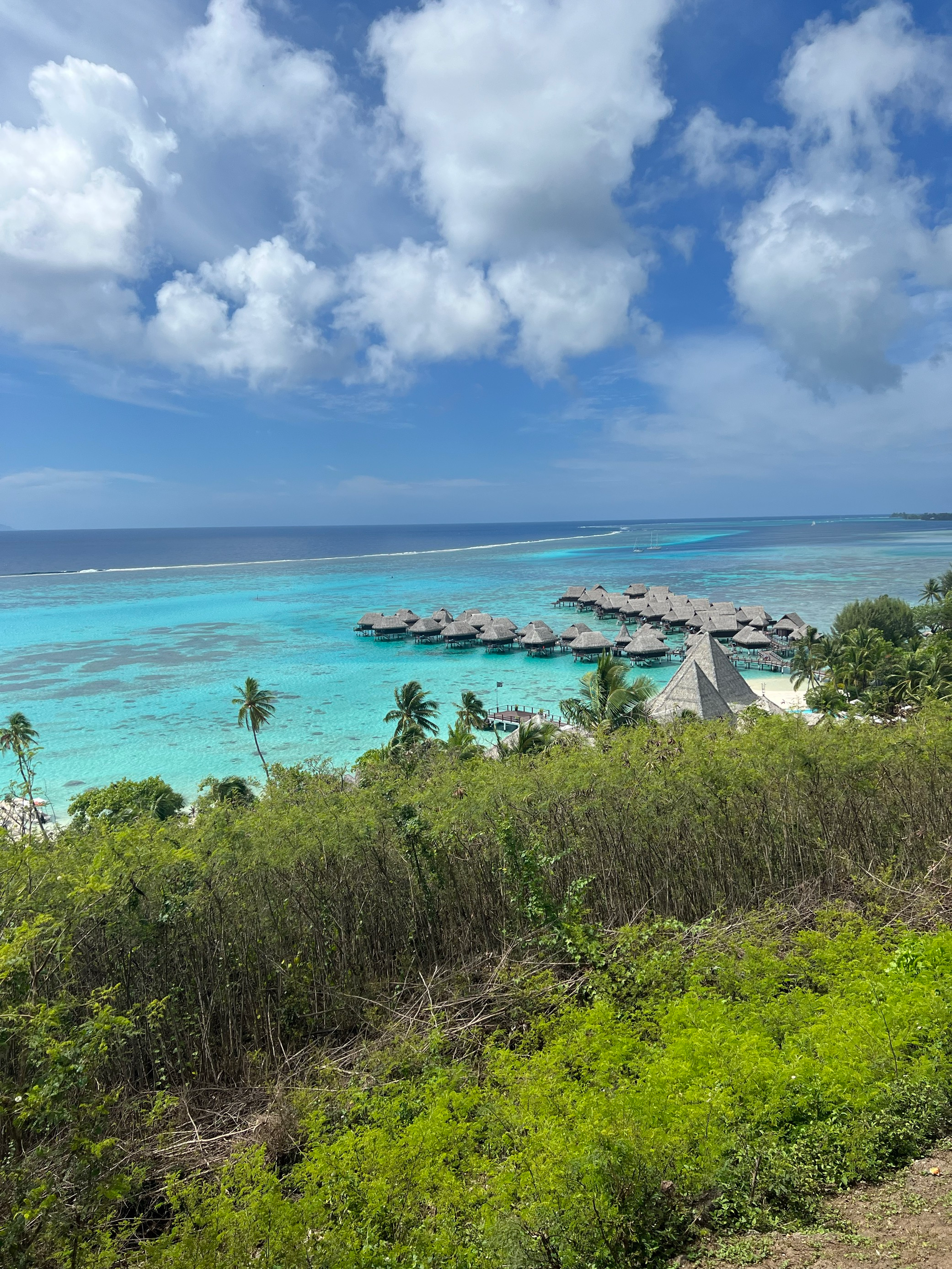 Hilton hat auch Hotels auf Moorea: Im Meer auf Stelzen. Beliebt ist das aber nicht bei allen Einheimischen, denn eigentlich sind die Strände für die Öffentlichkeit zugänglich. Je mehr Hotels sie besetzen, desto weniger Platz bleibt für die Inselbewohner. 
