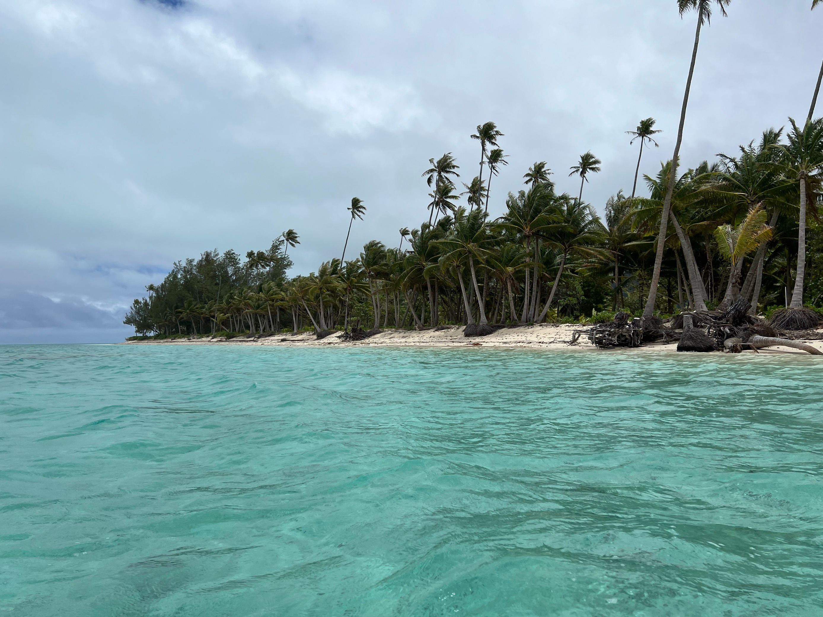 Je mehr Sonne scheint, desto türkiser strahlt das Meer. Doch auch bei bedecktem Himmel verlieren die kleinen Inseln ihren Südsee-Look nicht. Die spannende Reisereportage zu dieser Bildergalerie lesen Sie hier auf www.nn.de/2.11550/2.11552/1.13664912.
