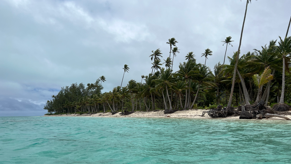 Je mehr Sonne scheint, desto türkiser strahlt das Meer. Doch auch bei bedecktem Himmel verlieren die kleinen Inseln ihren Südsee-Look nicht. Die spannende Reisereportage zu dieser Bildergalerie lesen Sie hier auf www.nn.de/2.11550/2.11552/1.13664912.