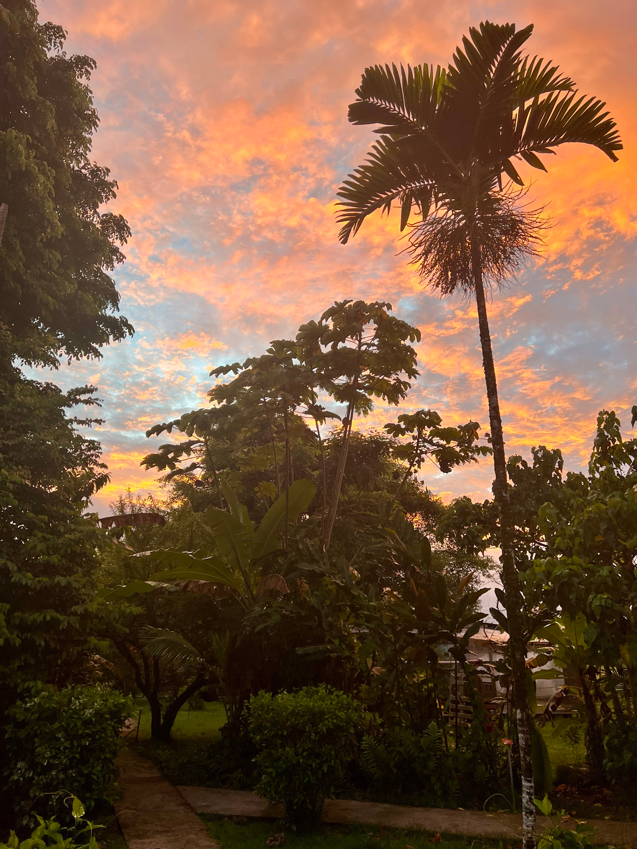 Viele der preiswerteren Unterkünfte auf Tahiti bestehen aus kleinen Hütten zwischen tropischen Gewächsen.