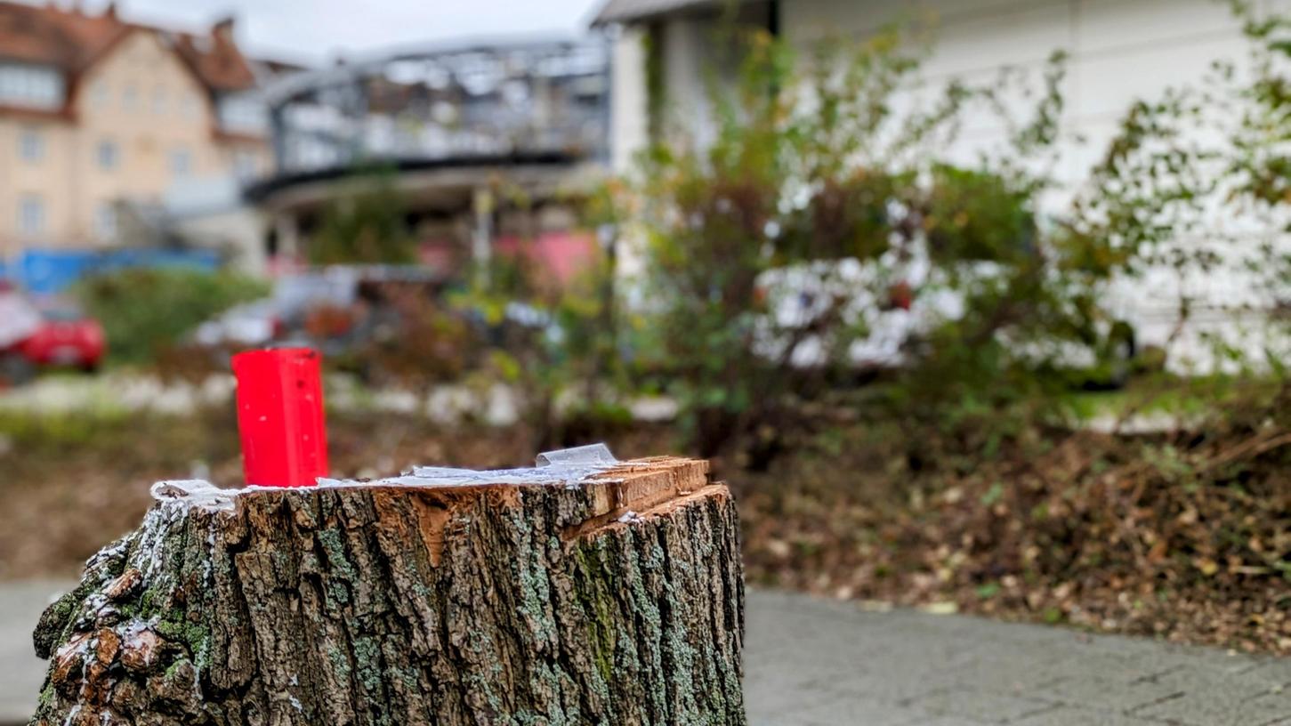 Kürzlich sind schon etliche Bäume auf und am HLG-Gelände in der Fürther Oststadt gerodet worden, Anwohner haben ihrer Trauer mit Grablichtern Ausdruck verliehen. Demnächst beginnen die Baumaßnahmen. Kürzlich sind schon etliche Bäume auf und am HLG-Gelände in der Fürther Oststadt gerodet worden, Anwohner haben ihrer Trauer mit Grablichtern Ausdruck verliehen. Demnächst beginnen die Baumaßnahmen.