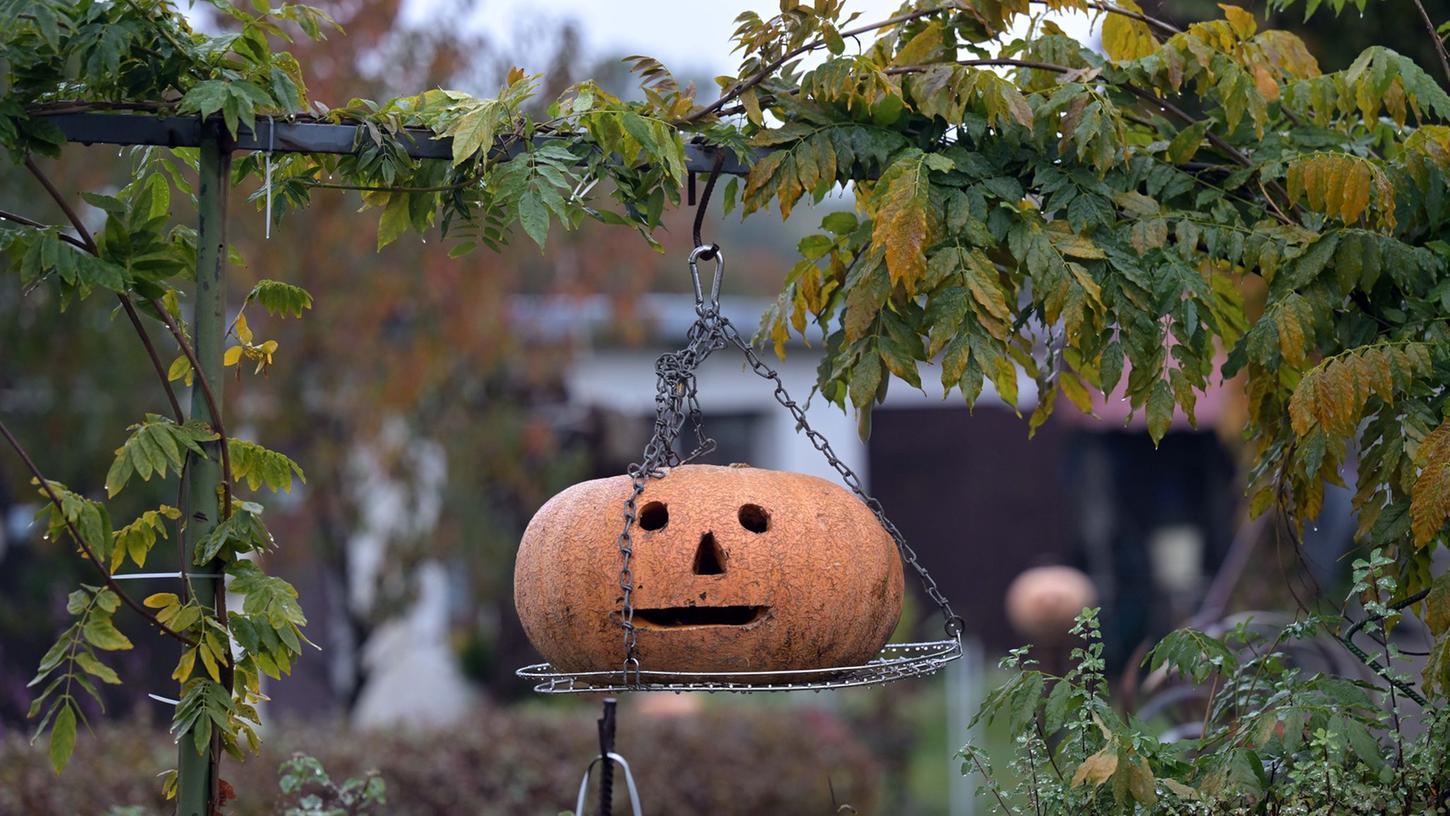 Bei den Jüngeren hat der Reformationstaglängst verloren gegen Halloween. Bei den Jüngeren hat der Reformationstaglängst verloren gegen Halloween.