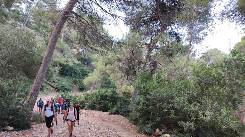 Wanderung auf den Talaia d´Alcudia im Nordosten Mallorcas: 5 Kilometer, ca. 2 Stunden. Los geht´s am Wanderparkplatz beim Eremita de la Victoria auf der Halbinsel von Alcudia auf einem breiten Weg.
