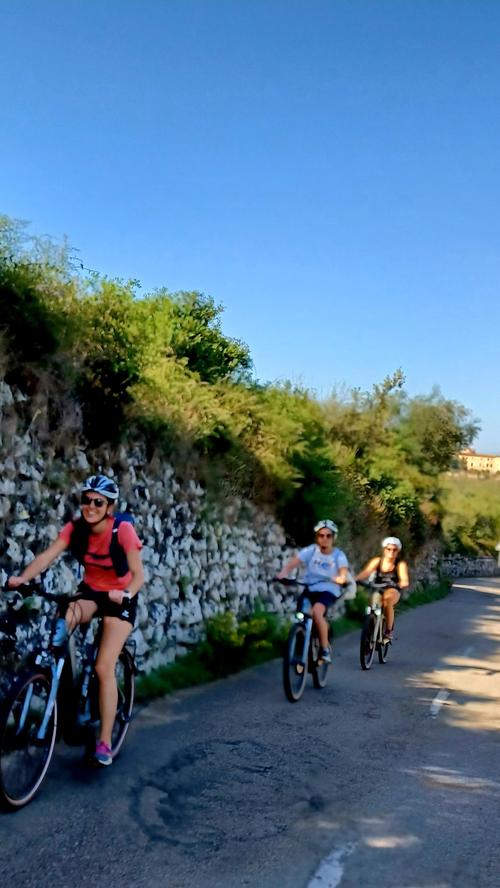 Ortswechsel: Mallorca ist nicht nur ein Hotspot für Wanderer, auch Radfahrer kommen auf ihre Kosten - wobei E-Bikes eher eine Nische sind. Der Fokus liegt auf dem Rennrad.