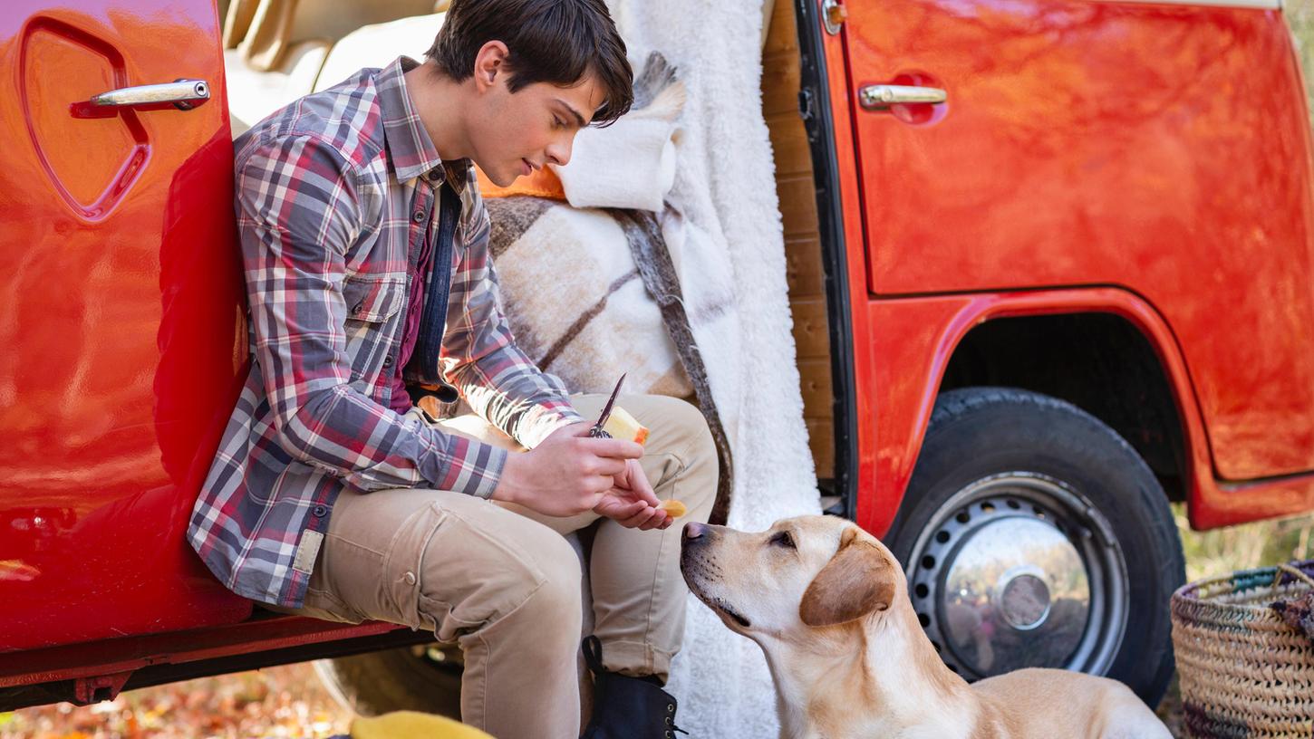 Hier erfahren Sie, welche Vor- und Nachteile Äpfel für Hunde haben können .