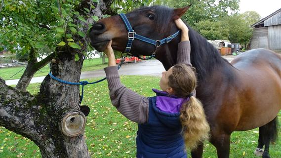 Hände als Werkzeug: So hilft eine Pferdeosteotherapeutin aus Theilenhofen ihren großen Patienten