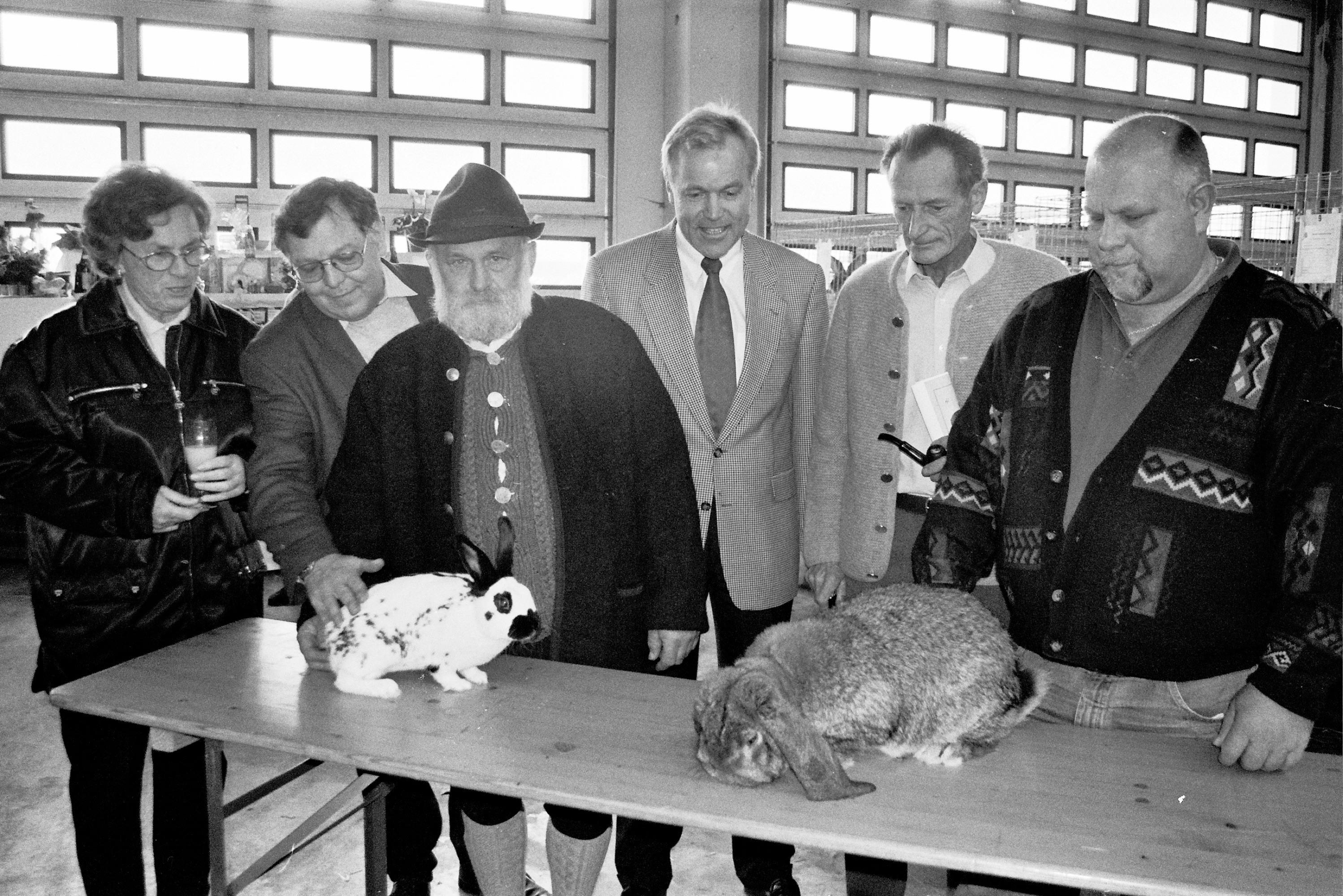 Stolz präsentiert Züchter Jürgen Kümpflein (rechts) aus Obenbrunn seinen Deutschen Widder grau. Unter den Ehrengästen befinden sich Bürgermeister Gerhard Trautner (Mitte) und Hanna Ernst (links). Denn anlässlich des 100-jährigen Bestehens des Kaninchenzuchtvereins B 520 Gunzenhausen richtet der Verein in der Halle der Städtereinigung Rudolf Ernst in Aha die 33. Kreisschau aus. An ihr beteiligen sich die sieben Kaninchenzuchtvereine im Landkreis.