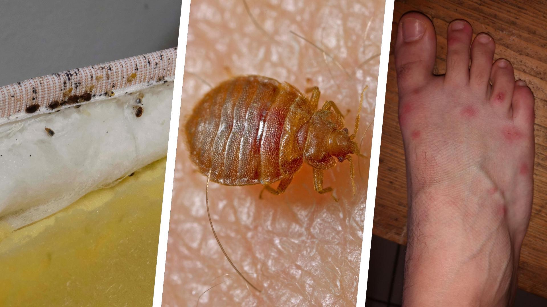 2023-10-5_collage (1).jpg