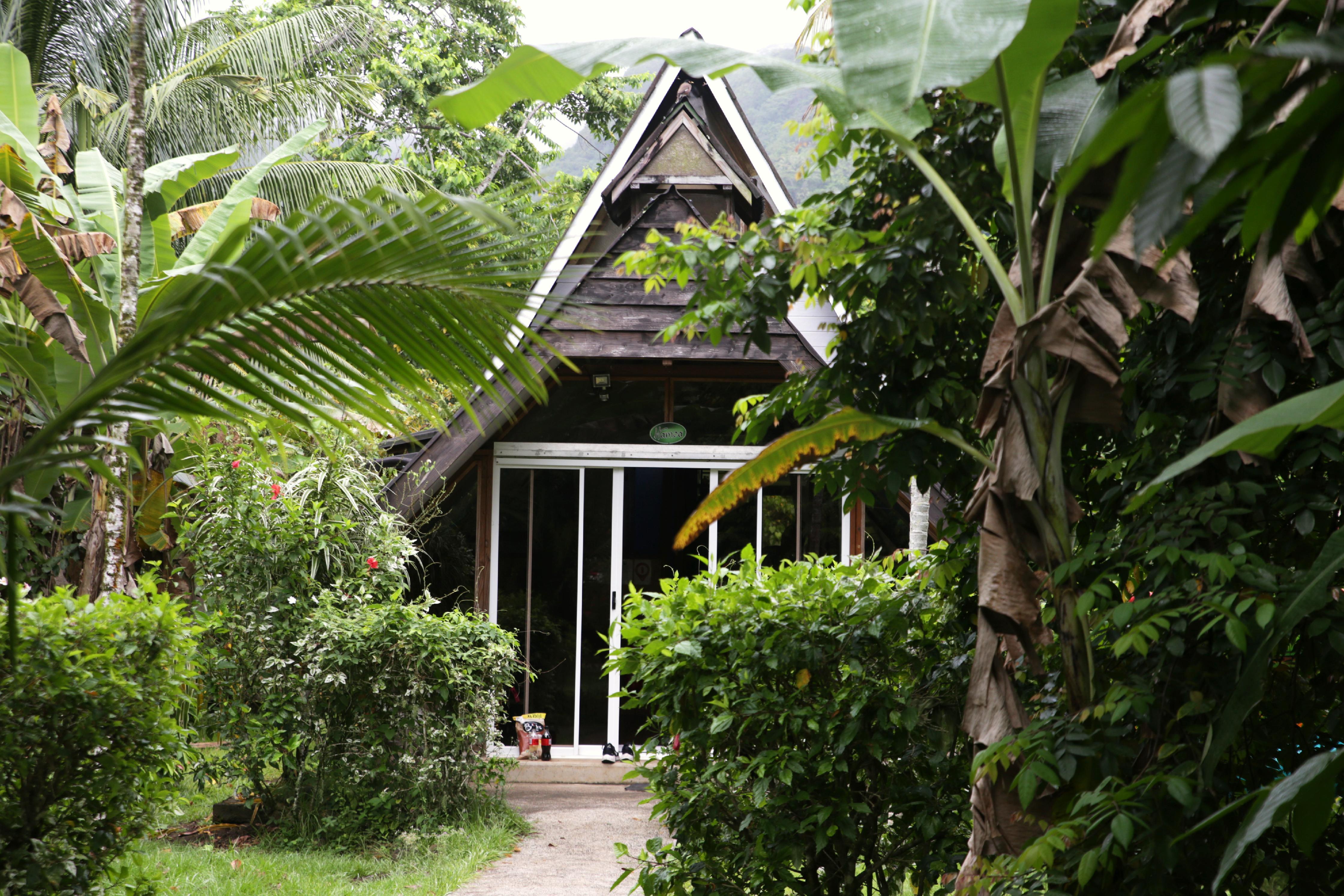 Zwar ist Tahiti für seine Luxus-Resorts bekannt, aber es geht auch günstiger. Auf Tahaa gibt's zum Beispiel Hütten, in denen ganze Familien Platz finden, ab 70 Euro pro Übernachtung: www.pensionles3cascades.com.