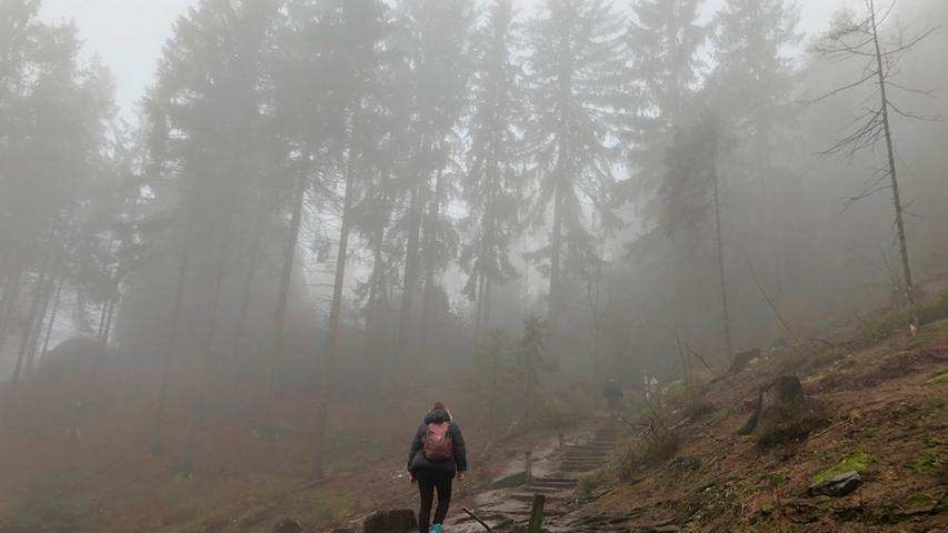 Wanderung im Nebel.