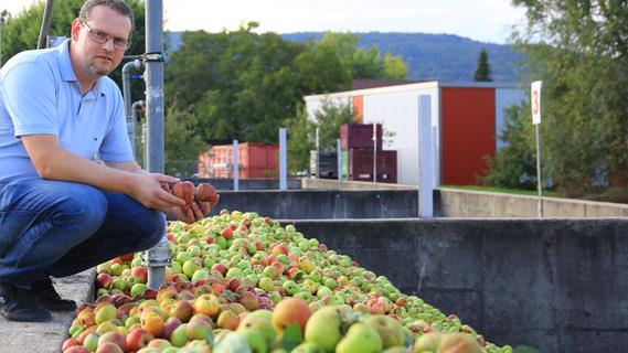 Wird der Apfelsaft knapp? "Pretzfelder"-Chef Manuel Rauch erklärt die schlechte Ernte