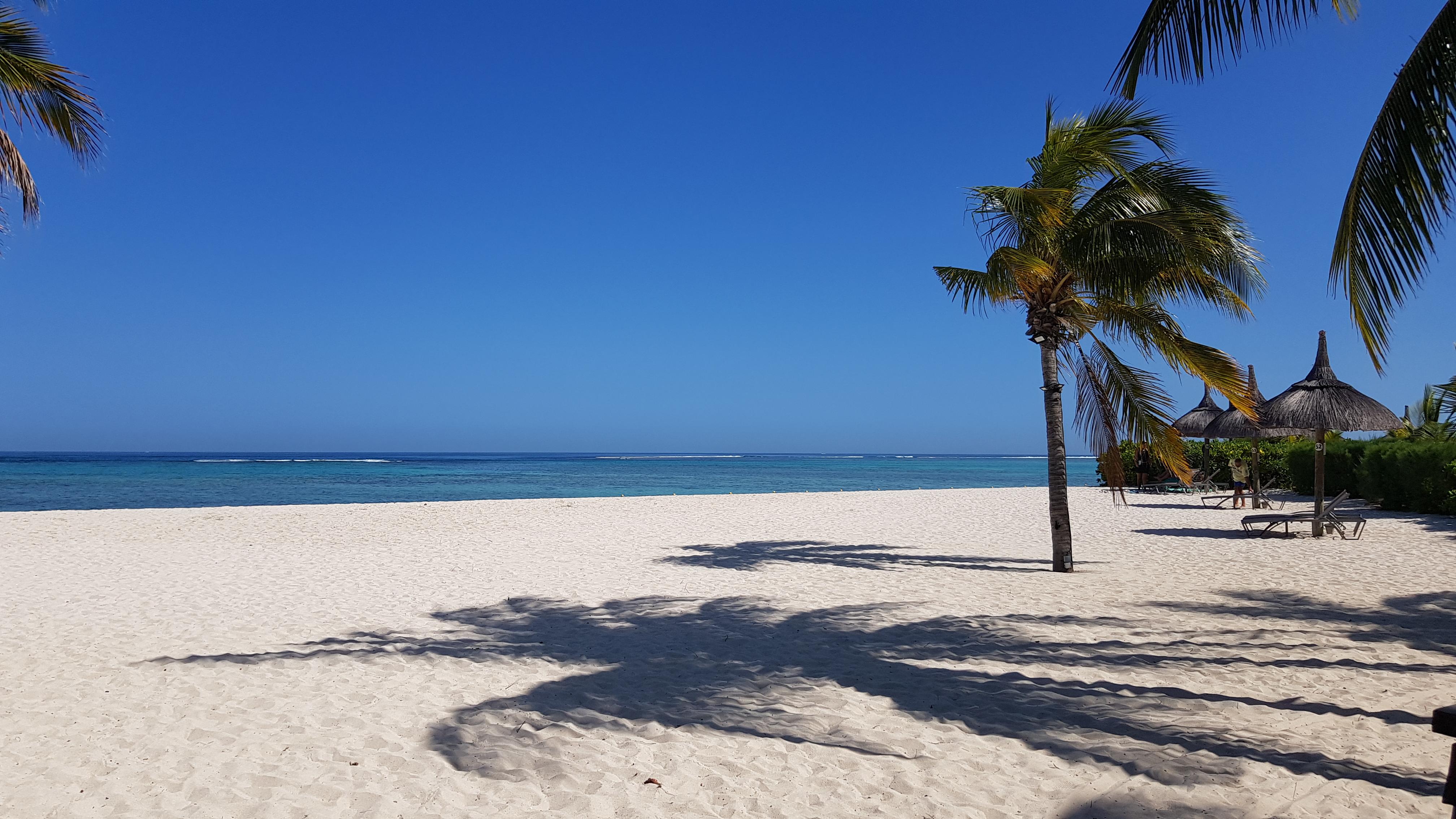 Palmen und weißer Sandstrand.