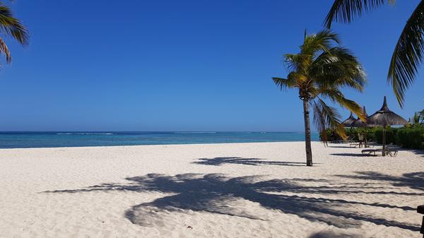 Palmen und weißer Sandstrand.