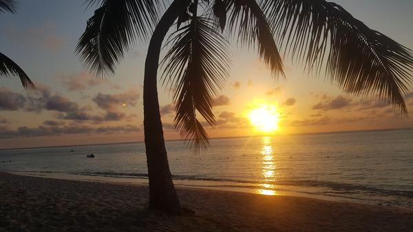 Daran kann man sich wohl nie sattsehen.