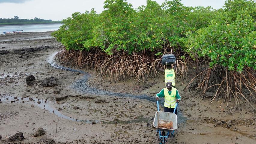 Der Weg zu den Booten, die die Besucher auf die Inseln bringen, beginnt abenteuerlich. Vorbei an Mangroven läuft man durch viel Schlamm. Helfer transportieren das Gepäck mit der Schubkarre.