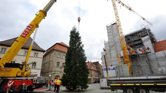 Ein nordamerikanischer Riese ist in Forchheim der Weihnachtsbaum auf dem Rathausplatz