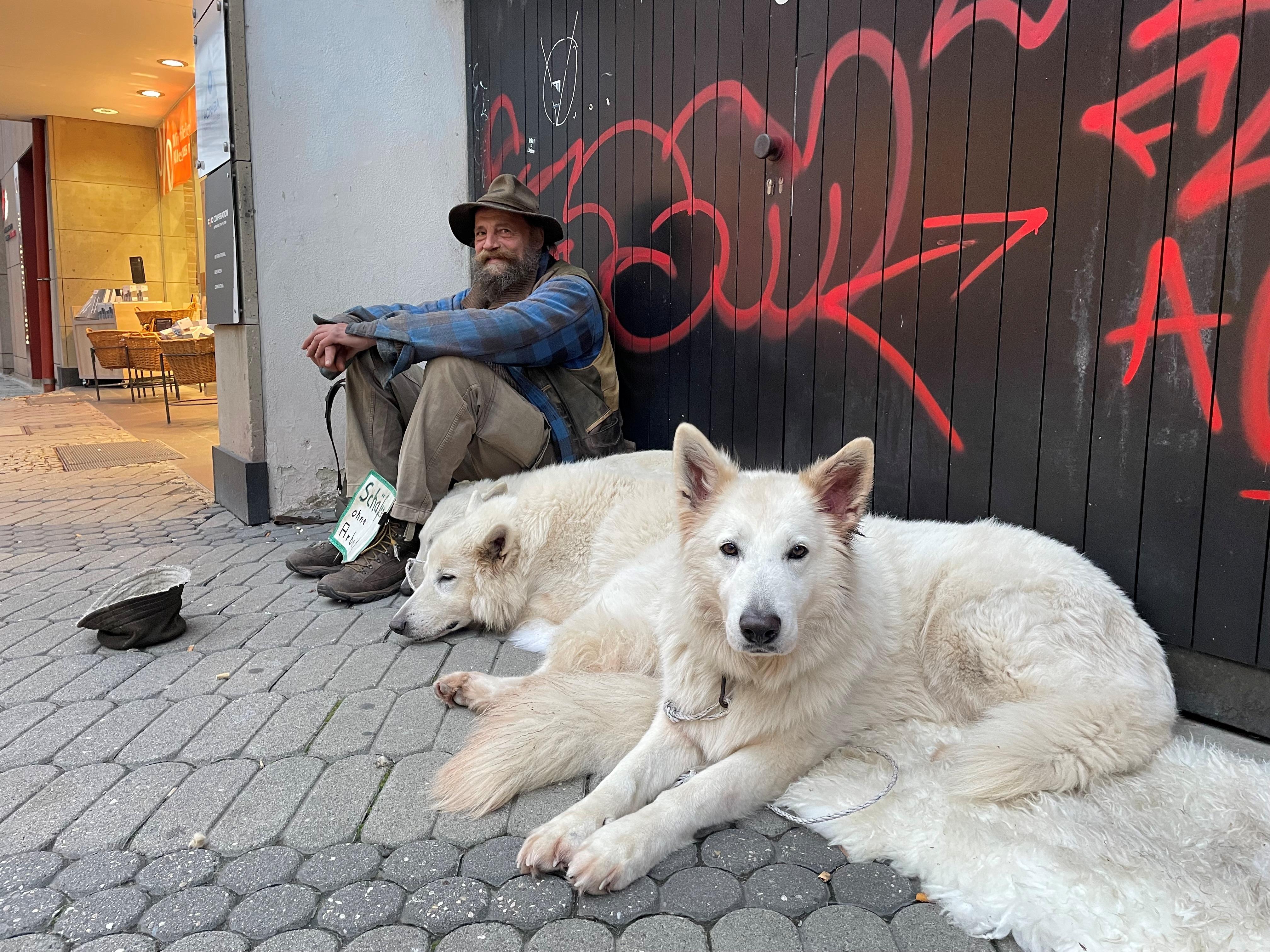 Schäfer Hans ist zurück in Nürnberg Von seiner Herde konnte er nicht