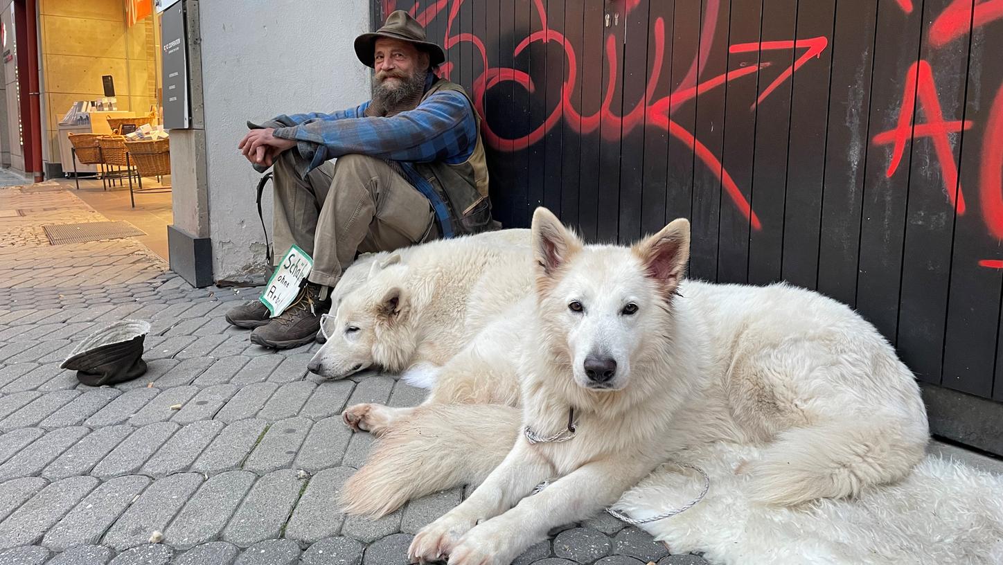 Schäfer Hans ist zurück in Nürnberg Von seiner Herde konnte er nicht