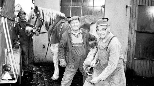 Friedrich Schotterer senior aus Ehlheim lässt auf sein Pferd Moritz in der Schmiede von Heinrich Dommel neue Hufeisen aufbringen. Damals war im Altmühl-Boten zu lesen: "Heute ist der Beruf eines Hufschmieds ganz selten anzutreffen. Ein exzellenter Könner dieses Handwerks ist Schmiedemeister Heinrich ("Heiner") Dommel aus Stadeln. Mit seiner jahrzehntelangen Erfahrung versteht er es, die Hufe fachgerecht auszuschneiden, zu säubern und das Hufeisen aufzunageln.