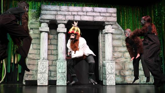 Ein hinreißender Affenzirkus: Berchinger Theatergruppe schlägt ein ganz eigenes "Dschungelbuch" auf