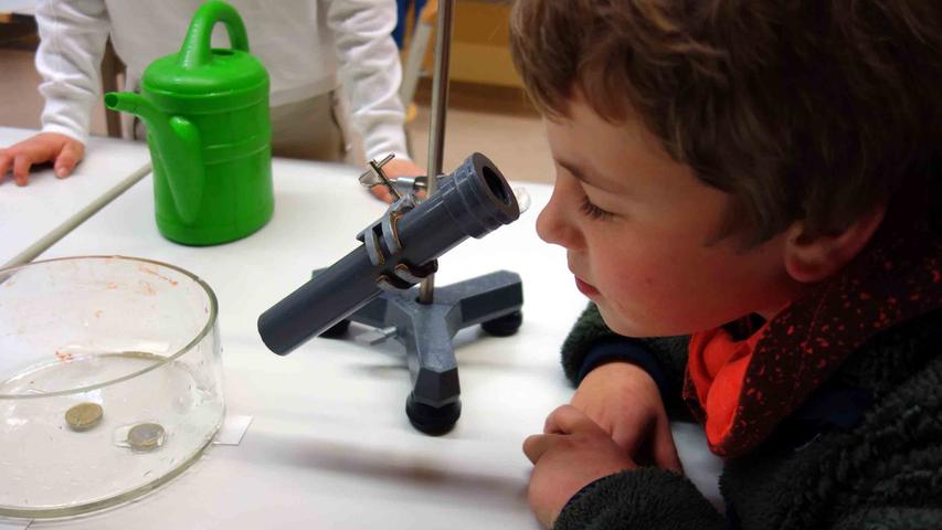 Durch das Mikroskop konnte die Lichtbrechung bestaunt werden.